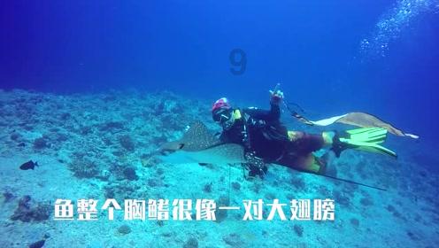 探索发动机抖动还会自己加速正常吗,汲取知识的新星球