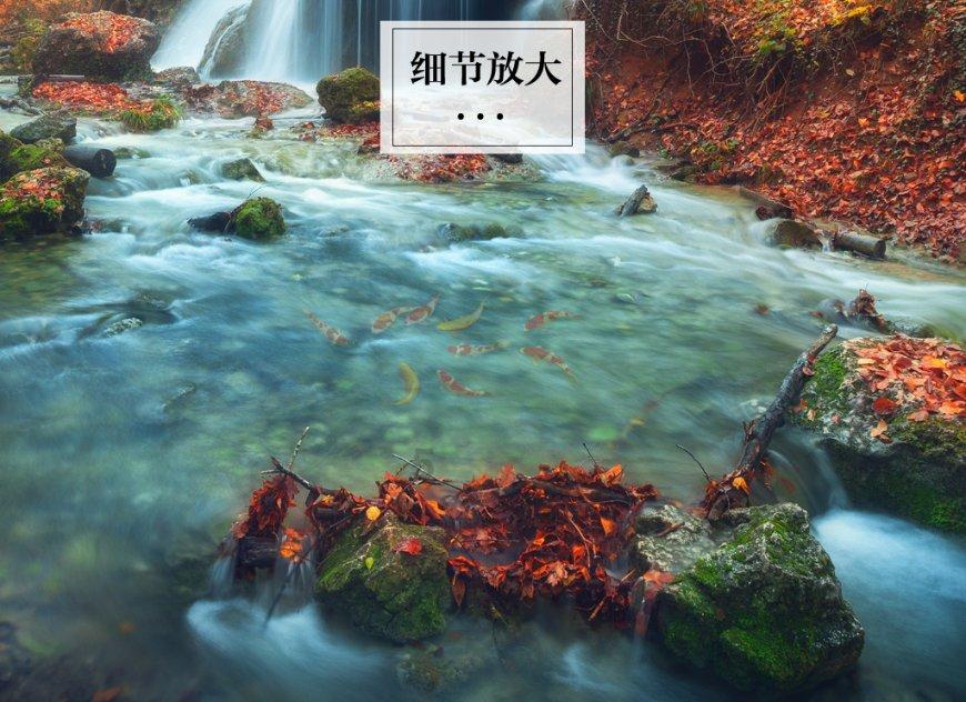 探索心灵的WinXP密钥交流平台